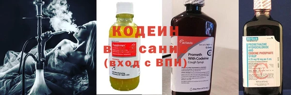 крисы Богородицк