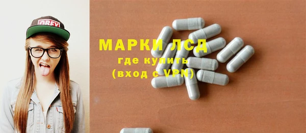 крисы Богородицк