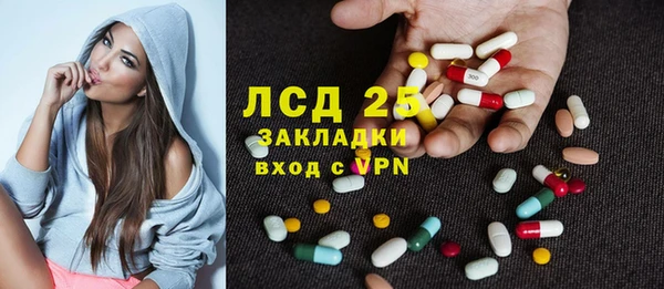крисы Богородицк