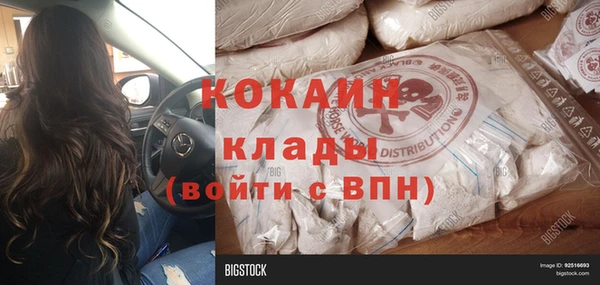 крисы Богородицк