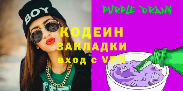 крисы Богородицк