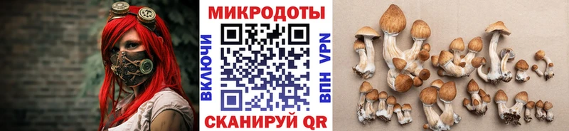 Псилоцибиновые грибы Magic Shrooms наркотики Кирсанов